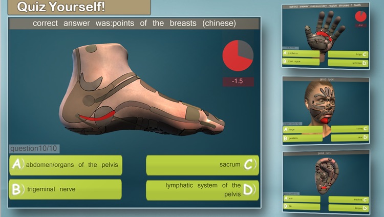 Total Reflexology-3D