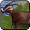 A Goat Slingshot Hunter on a Crazy Life Rampage