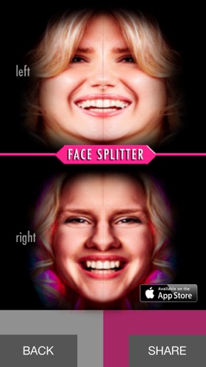 Face Splitter