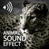 Animal Sounds Effects