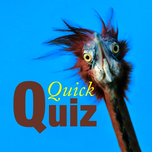 QuickQuiz – Waterbirds of southern Africa