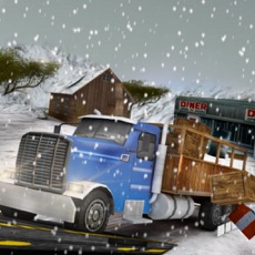 Activities of Winter Highway Truck Driver Rush 3D Simulator