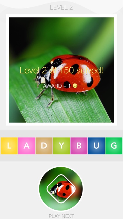 Blurry Pics - blurred objects photo puzzle screenshot-3