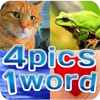 4 Pics 1 Word - Extra Levels