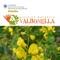 Una Caccia al Tesoro Botanica al Giardino di Valbonella (FC)