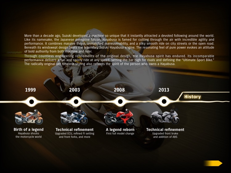 SUZUKI HAYABUSA