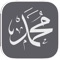 Icon Hadeeth Lite