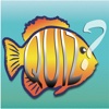 Fish Quiz