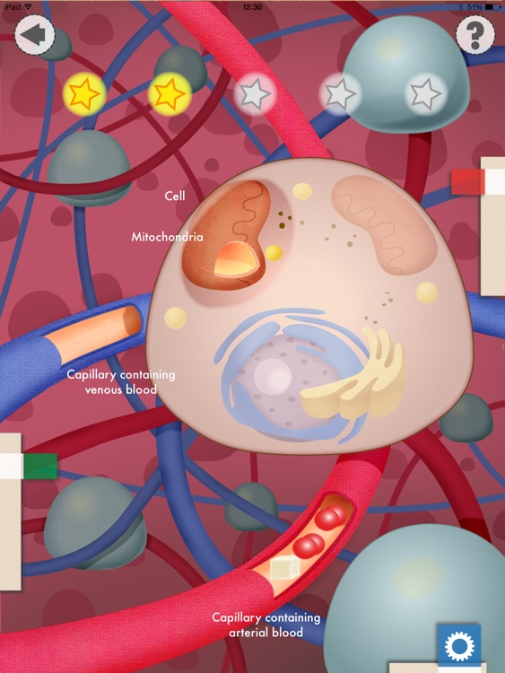 Heart and Lungs Lab screenshot-3
