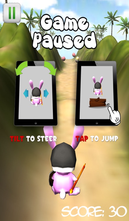 Easter Bunny Run - Egg Hunt 3D