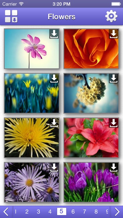 Flowers HD Wallpapers screenshot-4