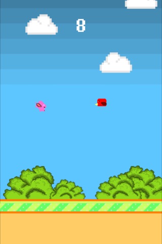 Piggy vs Birds screenshot 2