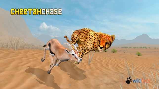 Cheetah Chase(圖1)-速報App