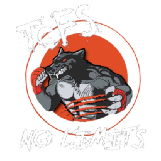 Hybrid Fight Academy icon