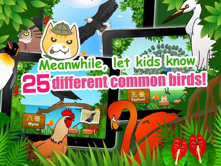 Birds for Kids HD - FREE Game