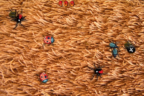 Cat Toy Deluxe screenshot 3