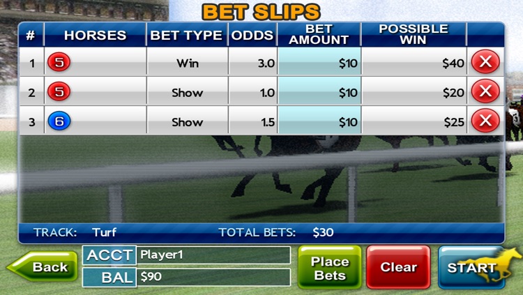Virtual Horse Racing 3D Lite screenshot-3