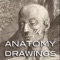 In this FULL VERSION, you will find over 130 drawings of Anatomy by the great masters Leonardo da Vinci (1452 - 1519), Andreas Vesalius (1514 – 1564), Govert Bidloo  (1649 - 1713) and Bernhard Siegfried Albinus (1697 – 1770)