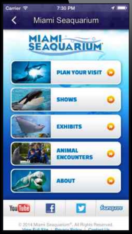 Mega Cup screenshot-4