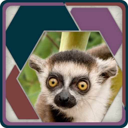 HexSaw - Zoo icon
