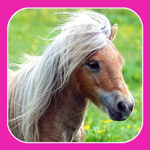 A Pet Pony HD icon