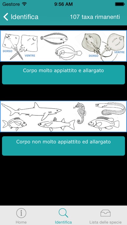 CLICK & fISH - Guida al riconoscimento dei pesci della Laguna di Venezia