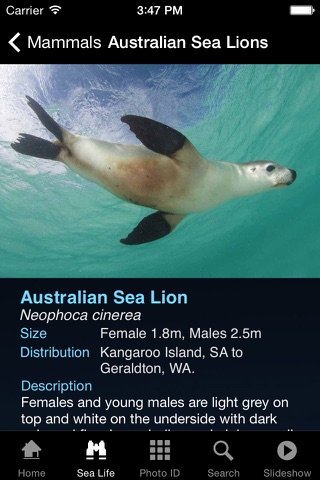 Sea Life Australia screenshot 2