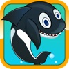 Sea Whale Splash Sea Whale Splash