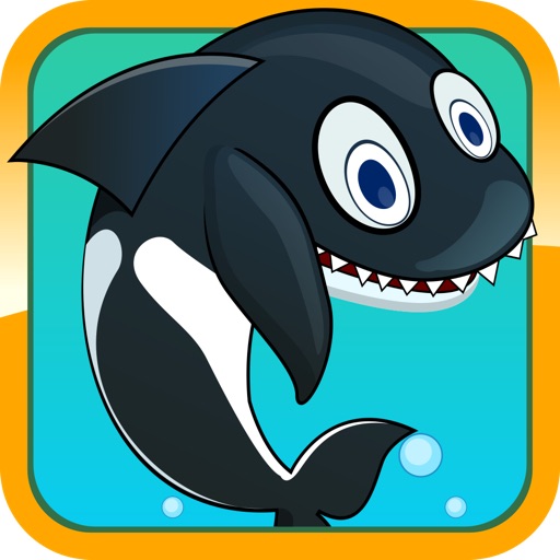 Sea Whale Splash iOS App