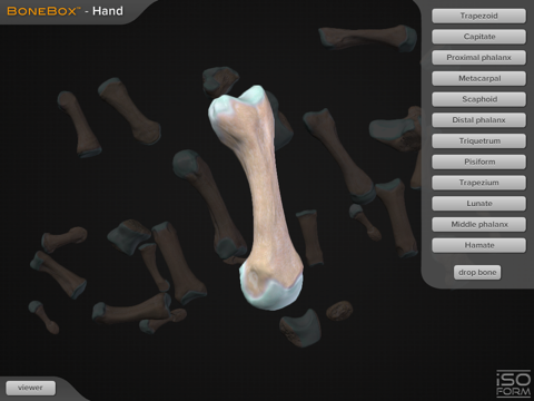 BoneBox™ - Hand Viewer screenshot 3