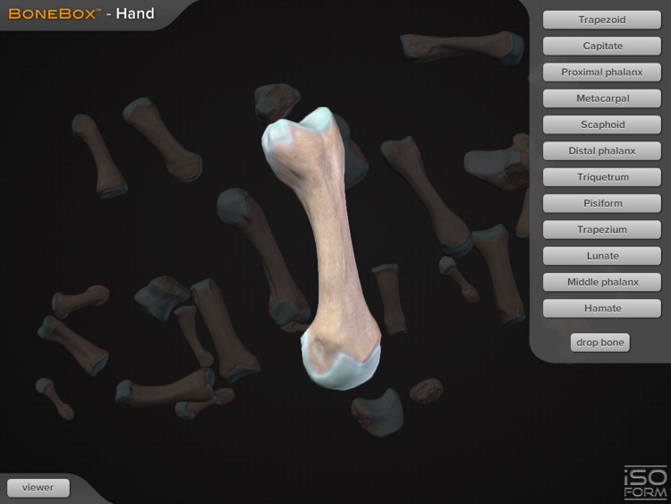 BoneBox™ - Hand Viewer