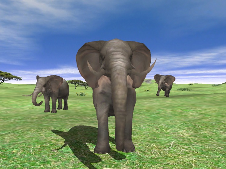  Wildlife  Animal Zoo Simulator  Game  3D Virtual Pets by art golf