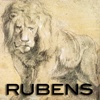 Drawings: Rubens