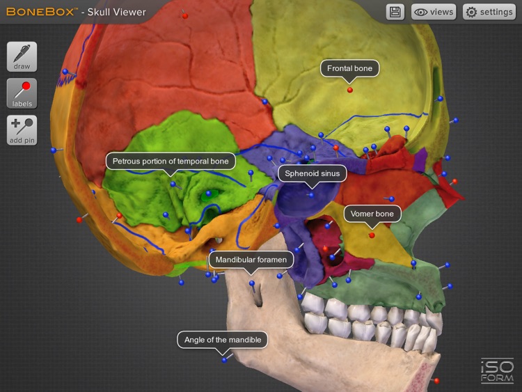 BoneBox™ - Skull Viewer