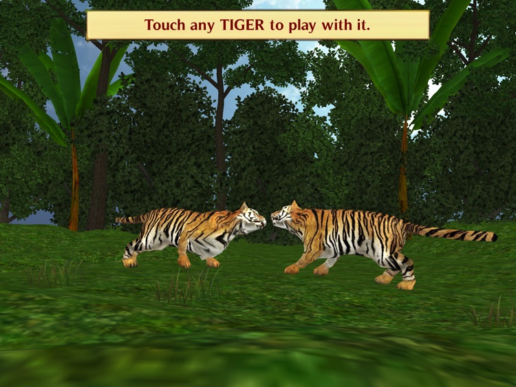 Magic Boox: Jungle Safari screenshot-4