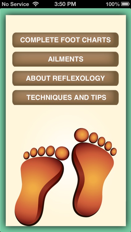 iPocket Foot Reflexology