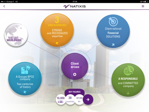 Natixis Profile screenshot 2