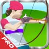 Bow of shooting sport PRO HD