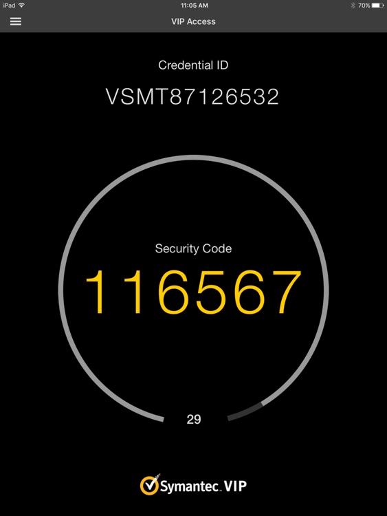 VIP Access for iPad screenshot-4