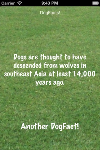 DogFacts screenshot 2