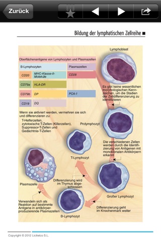 Miniatlas Hematology screenshot 3