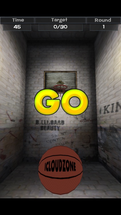 Flick Basketball 3D