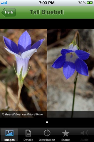 Biodiversity of the Western Volcanic Plains Flora and Fauna Field Guide screenshot 3