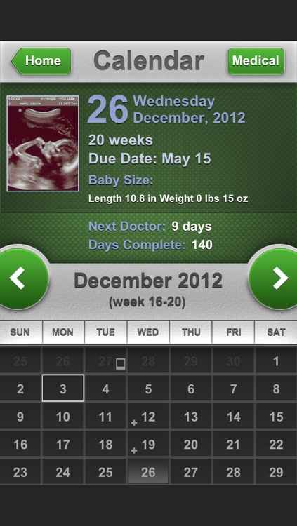 Pregnancy Progress: baby journal + medical info