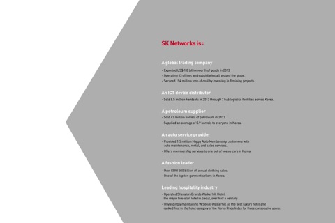 SK Networks Brochure 2014 screenshot 2