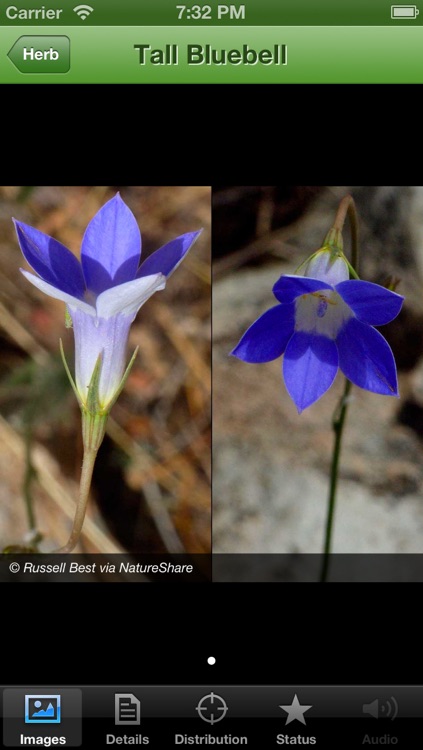 Biodiversity of the Western Volcanic Plains Flora and Fauna Field Guide