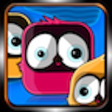 Activities of Bird Zooma HD Lite