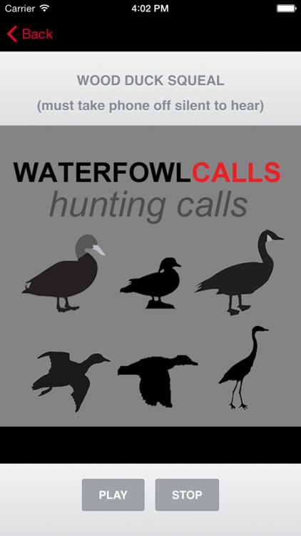 Waterfowl Hunting Calls - The Ultimate Waterfowl Hunting Calls App For Ducks, Geese & Sandhill Cranes - BLUETOOTH COMPATIBLE