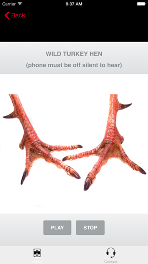 TURKEY CALLS for Hunting Fall Turkeys - BLUETOOTH COMPATIBLE(圖1)-速報App