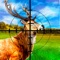Most realistic and authentic deer hunting game experience is on way